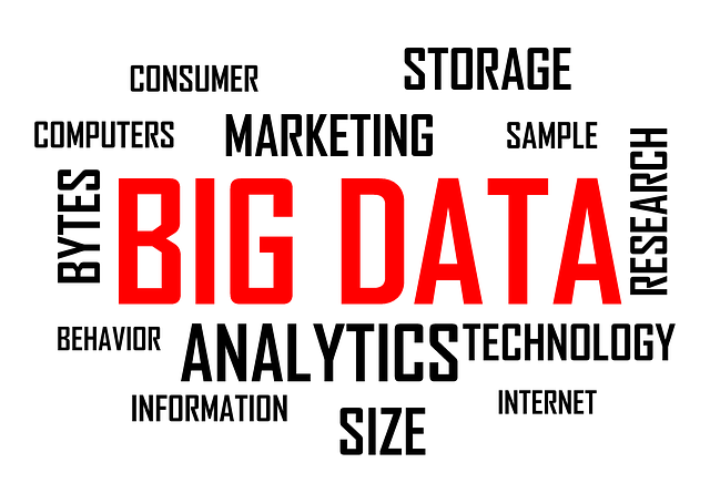 The Role of Big Data Analytics in Business Decision-Making